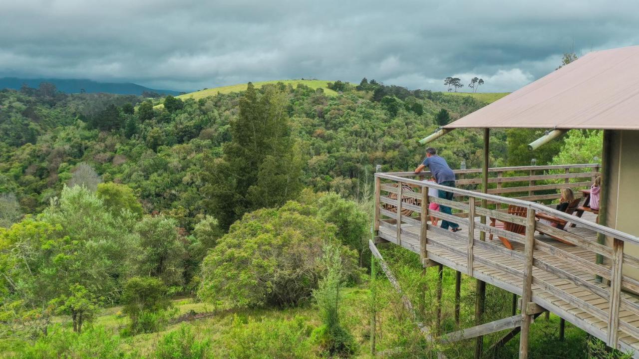 Africamps At Ingwe Villa Plettenberg Bay Bagian luar foto